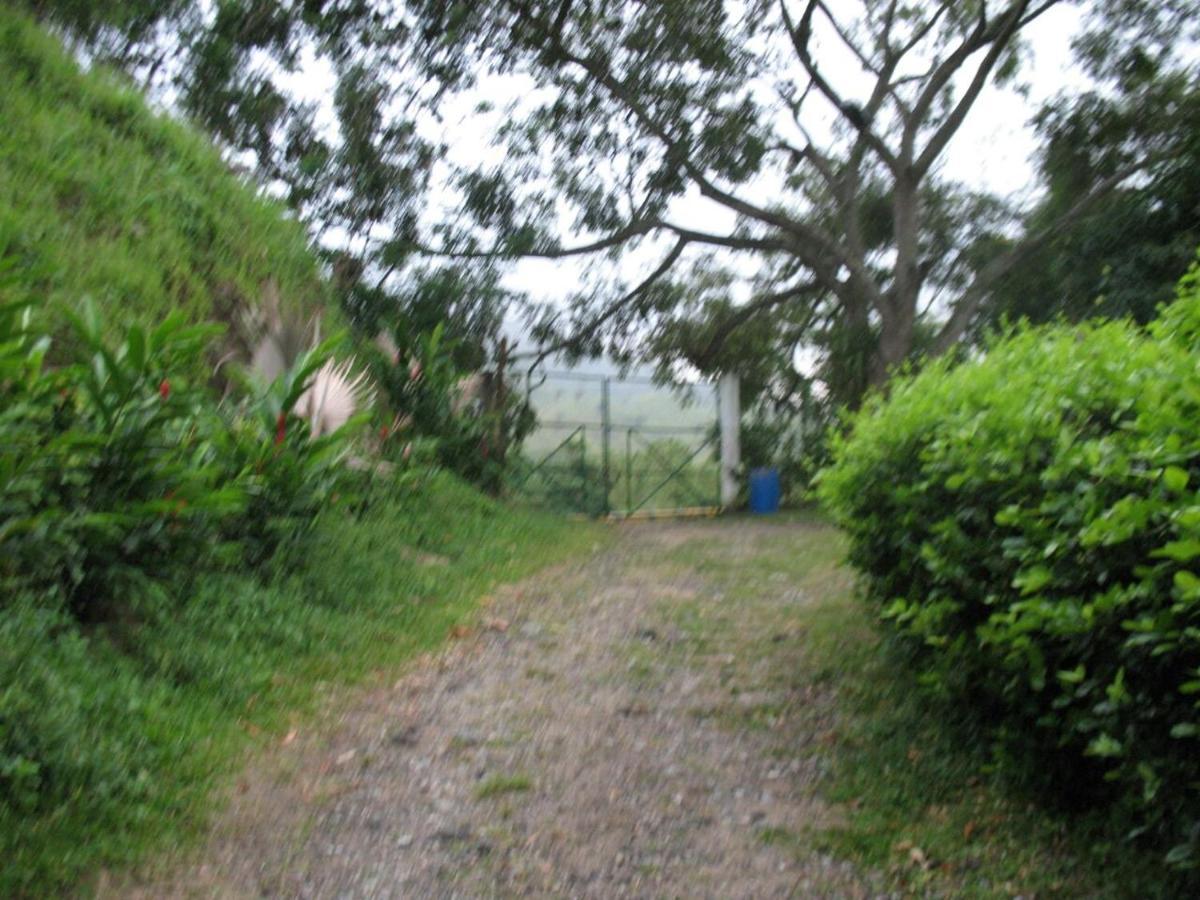 Hostel Finca La Gordita Calabazo  Exterior photo